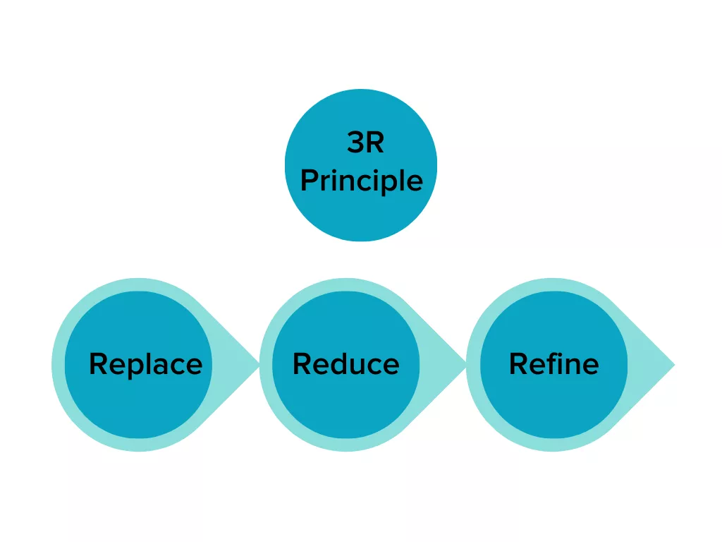 3 R principal